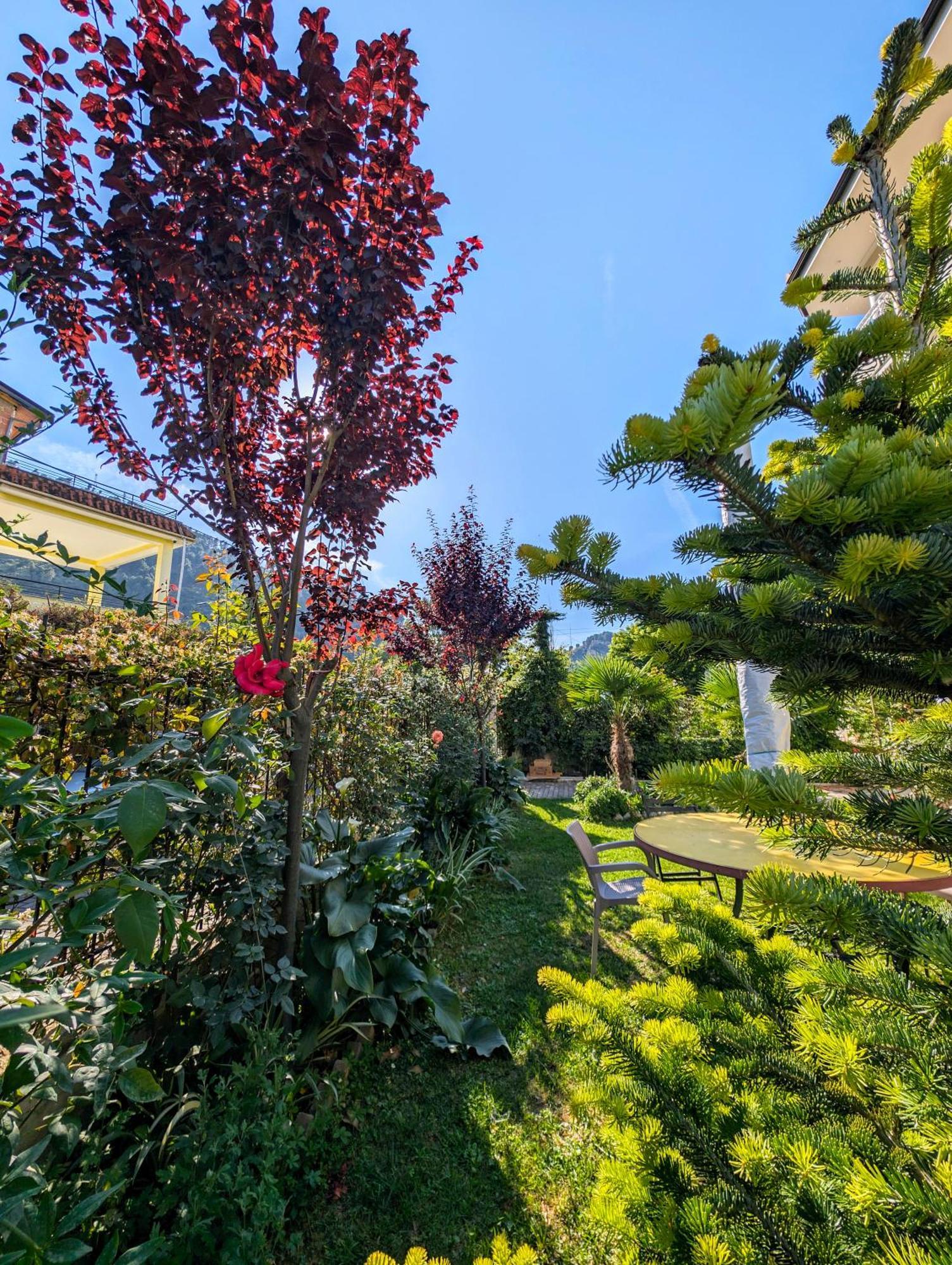 Villa With Garden And Veranda Berat Exterior photo
